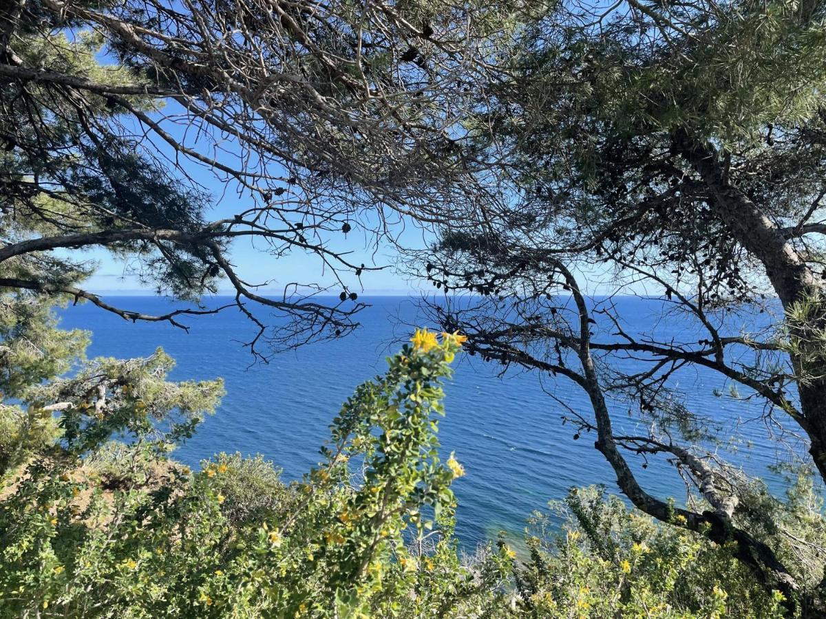 Appartement Mignon Calme Douillet Ascenseur Clim Etage Eleve Proche Parking Et Toutes Commodites Au Coeur Du Toulon Historique Exteriör bild