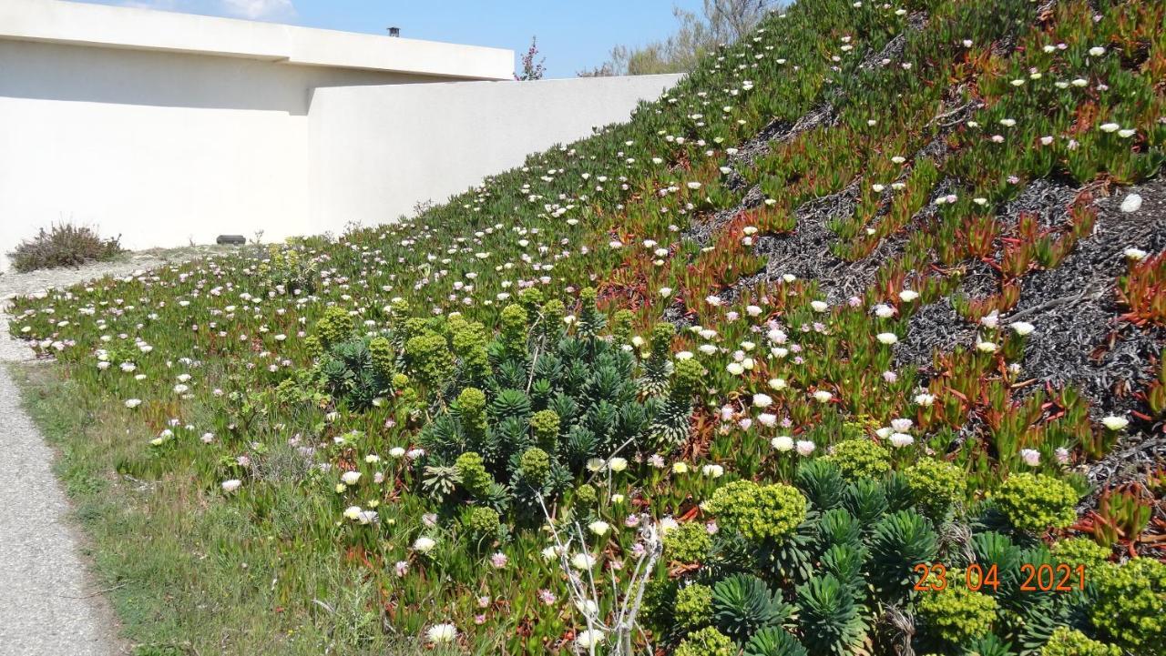 Appartement Mignon Calme Douillet Ascenseur Clim Etage Eleve Proche Parking Et Toutes Commodites Au Coeur Du Toulon Historique Exteriör bild